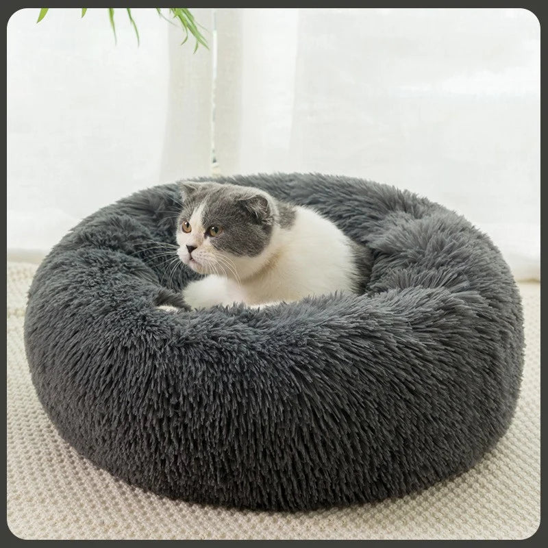 Plush Warm Dog Bed in Winter