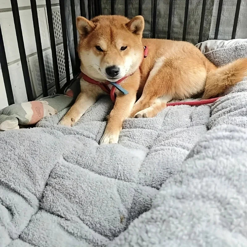 Extra-Large Plush Dog Bed/Sofa/Cat Bed/Dog House/Cage Mat, Thick and Super Soft Polyester Pet Mat