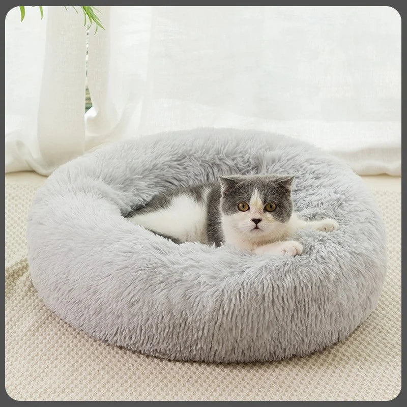 Plush Warm Dog Bed in Winter