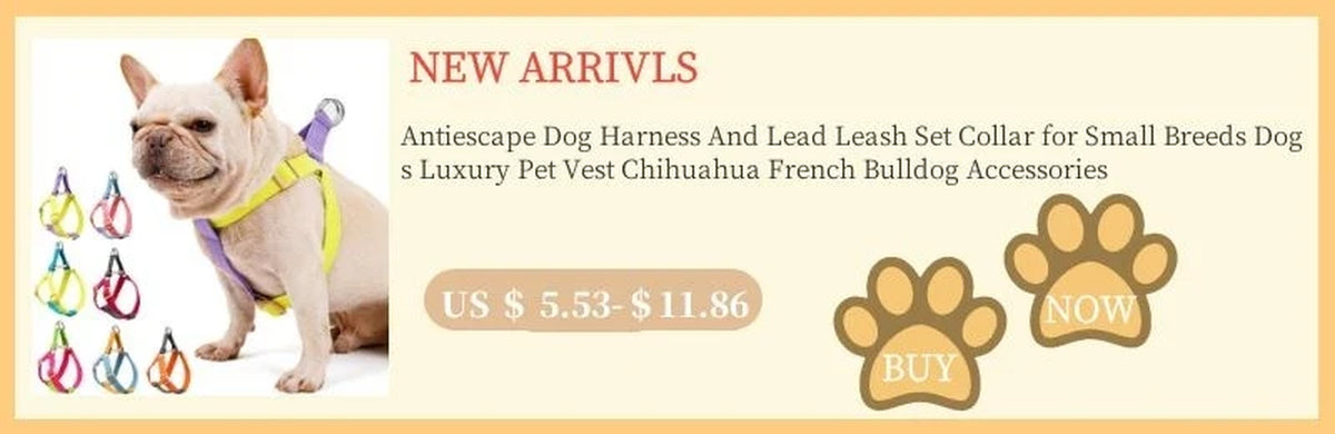 Furry Winter Small Dog Harness Leash Set Warm Pet Chest Strap Puppy Cat Walking Lead Vest French Bulldog Accessories Chihuah