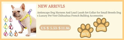 Furry Winter Small Dog Harness Leash Set Warm Pet Chest Strap Puppy Cat Walking Lead Vest French Bulldog Accessories Chihuah