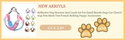 Furry Winter Small Dog Harness Leash Set Warm Pet Chest Strap Puppy Cat Walking Lead Vest French Bulldog Accessories Chihuah