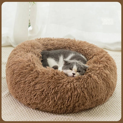 Plush Warm Dog Bed in Winter