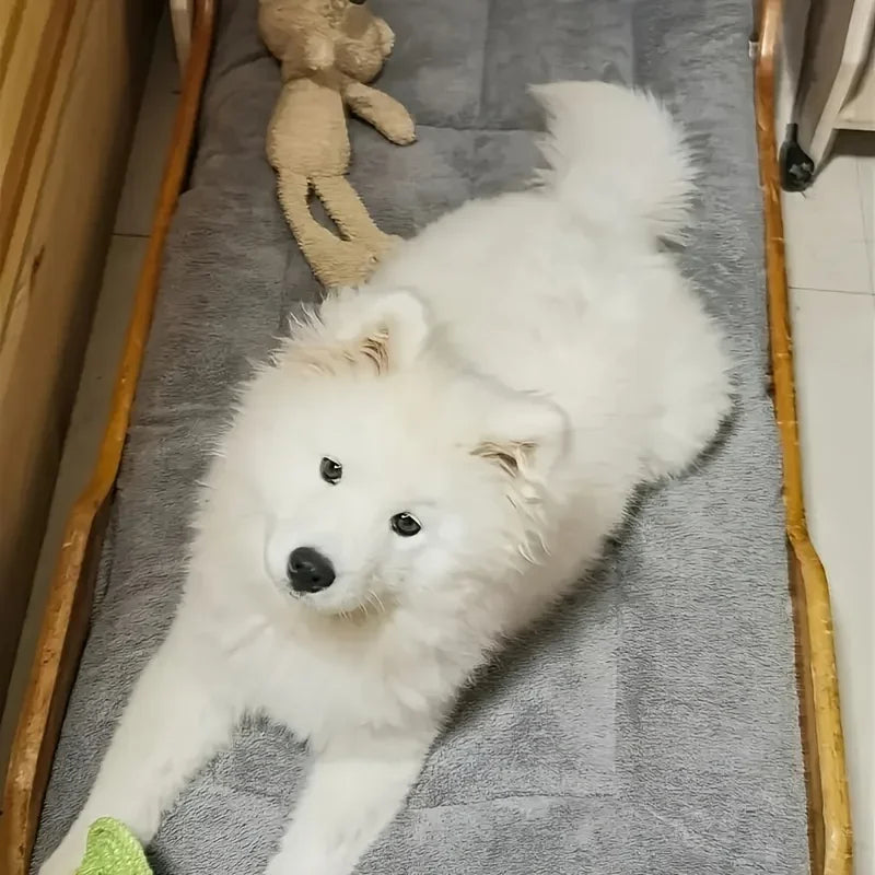 Extra-Large Plush Dog Bed/Sofa/Cat Bed/Dog House/Cage Mat, Thick and Super Soft Polyester Pet Mat