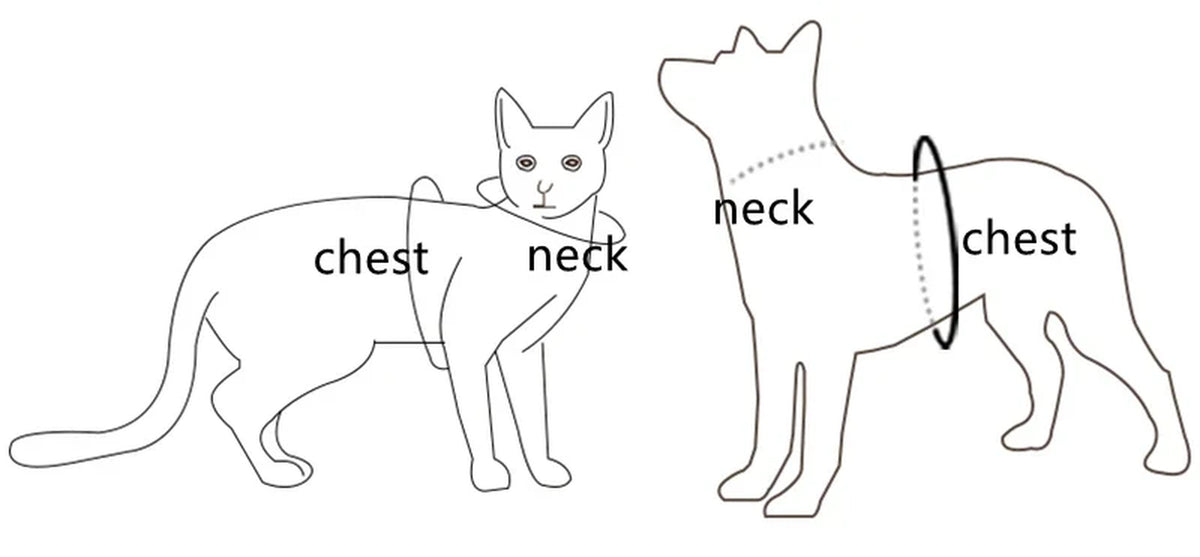 Furry Winter Small Dog Harness Leash Set Warm Pet Chest Strap Puppy Cat Walking Lead Vest French Bulldog Accessories Chihuah